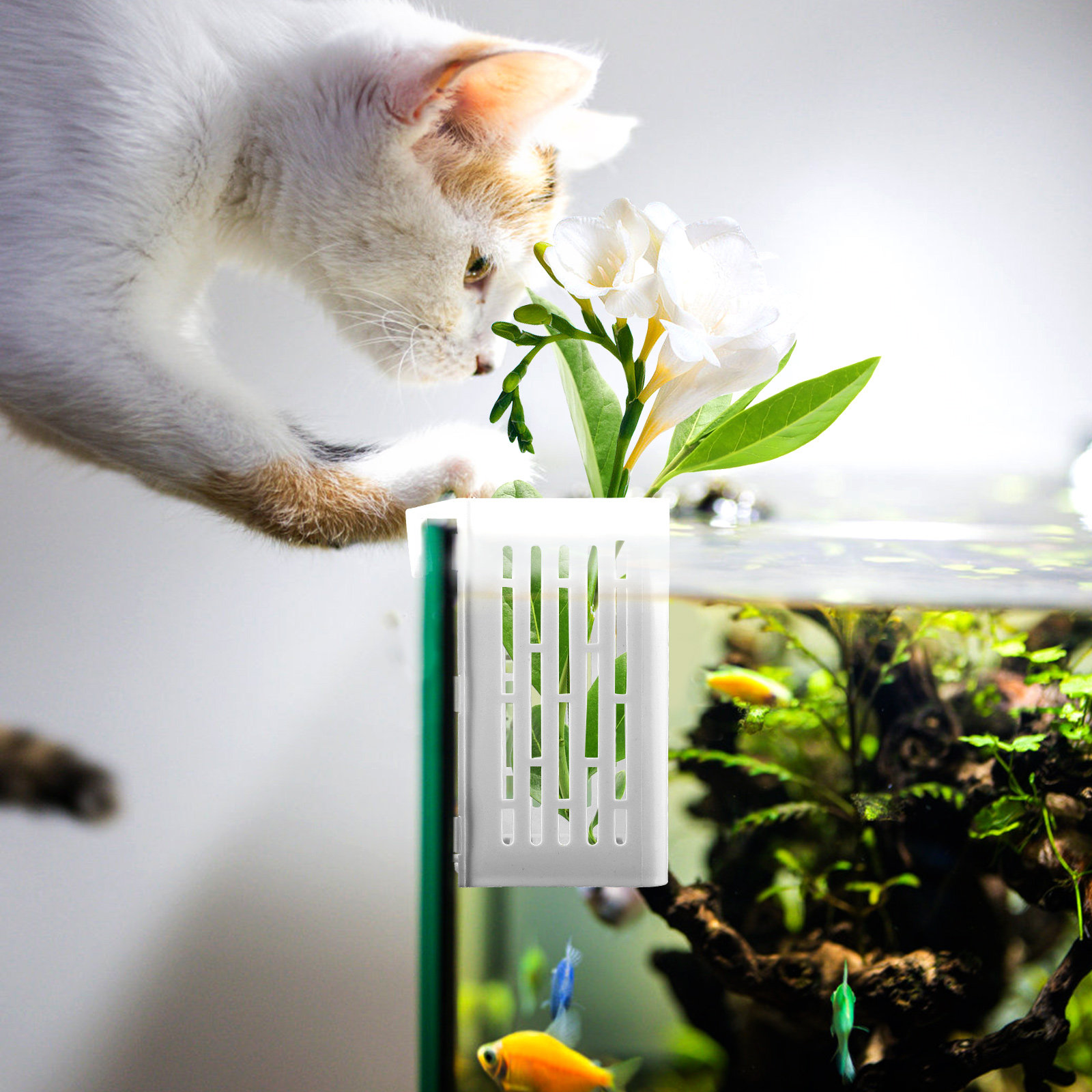 Aquarium Planted Tank Setup - 2Pcs Aquatic Plant Holder Hanging Aquarium
