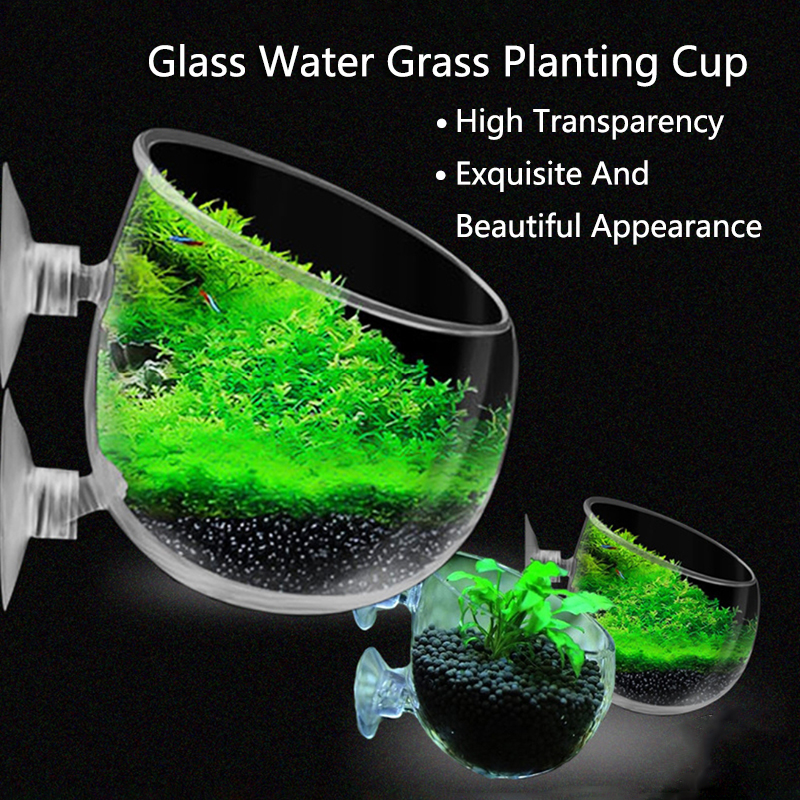 Aquarium Plant Growth - Glass Aquarium Decoration Hanging Cup Fish