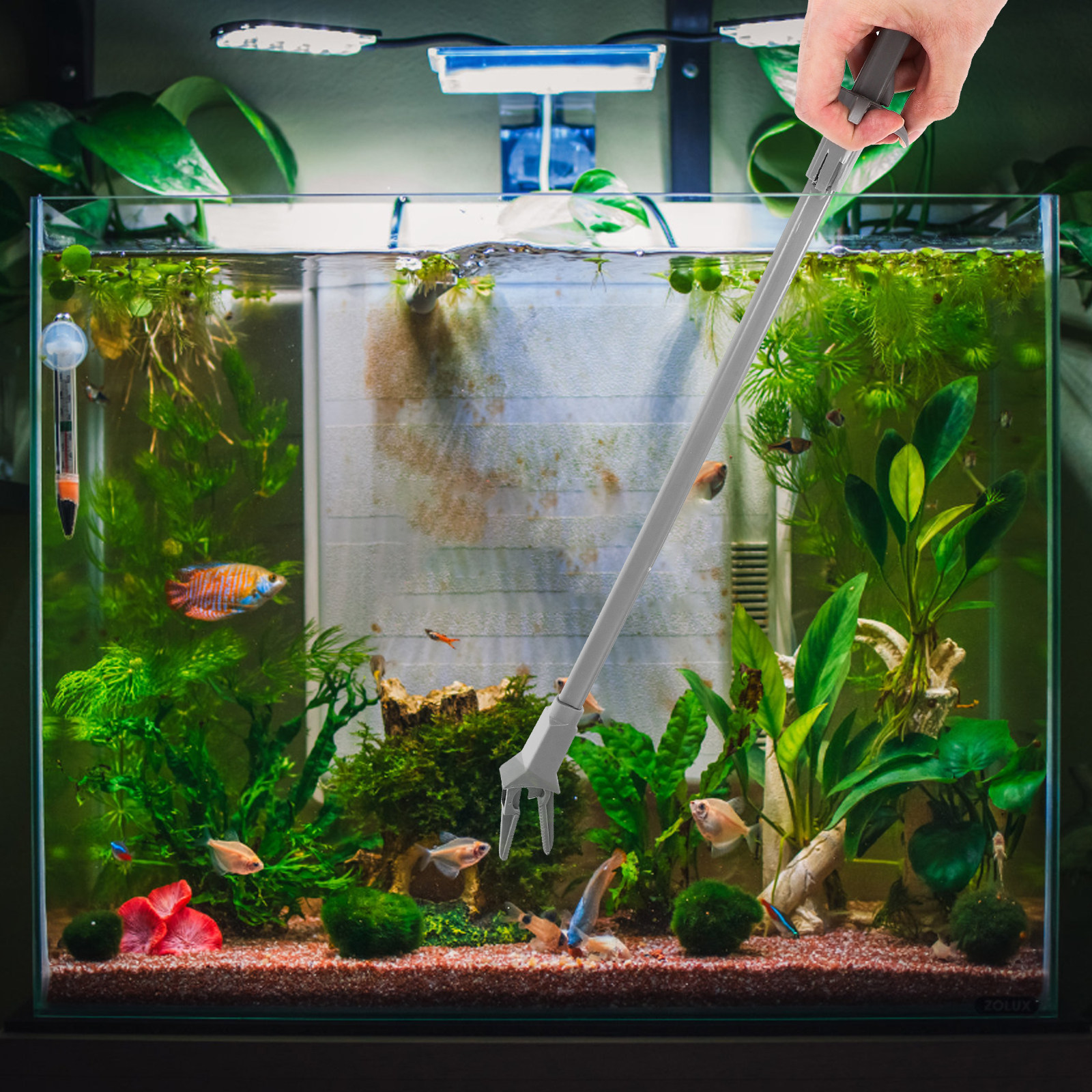 50Cm Aquarium Plant Tweezers P - Planted Aquarium Carpet Plant reseña y precio