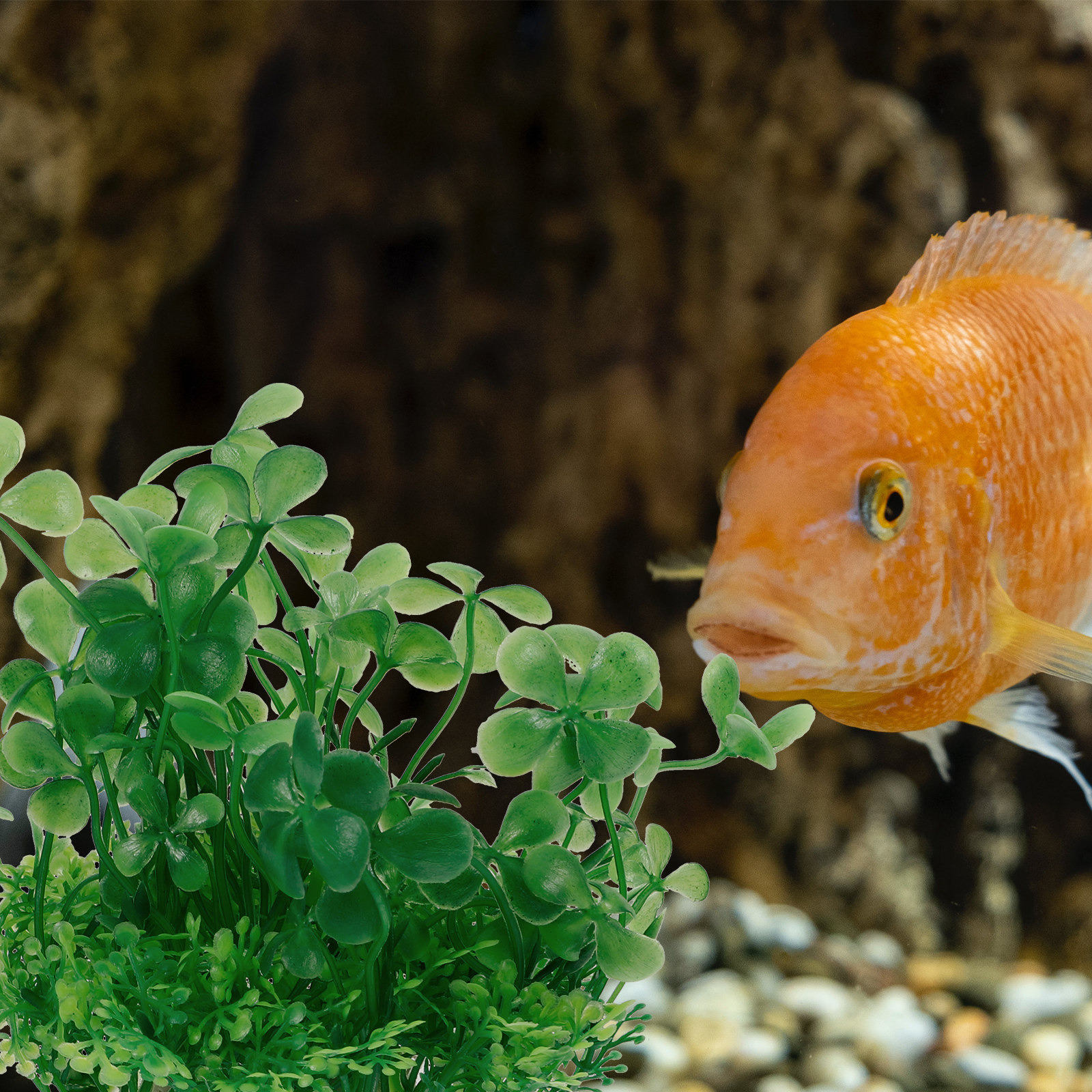 Premium Plastic Aquarium Plant - Aquarium Planted Tank Setup reseña y precio