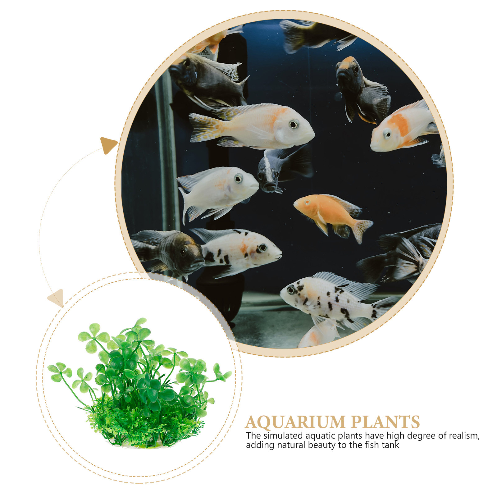 Premium Plastic Aquarium Plant - Aquarium Planted Tank Setup reseña y precio