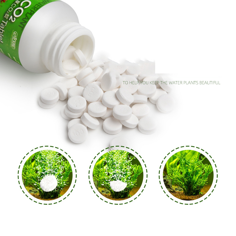 ISTA  Fish Tank Aquarium CO2 T - Planted Aquarium Without Fish reseña y precio