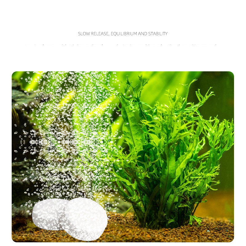ISTA  Fish Tank Aquarium CO2 T - Planted Aquarium Without Fish reseña y precio