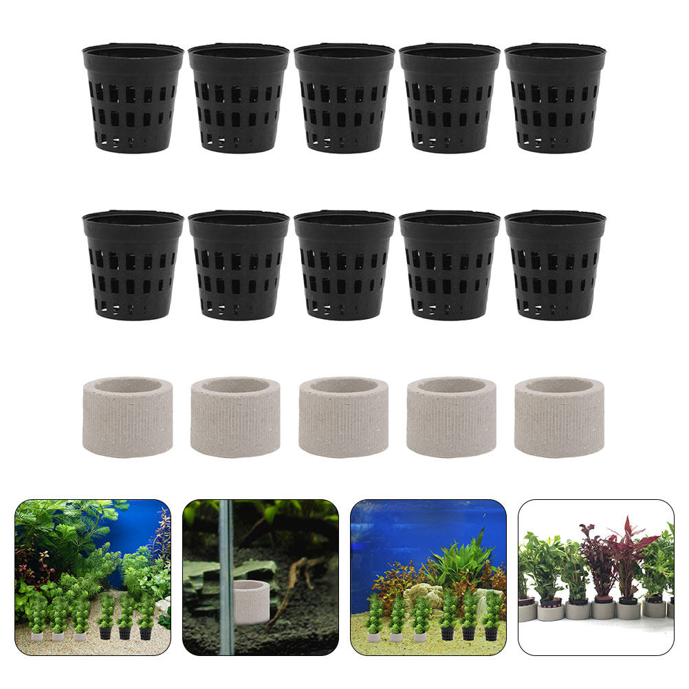 1Set Aquarium Water Plant Fixi - Aquarium Planted Tank Setup reseña y precio