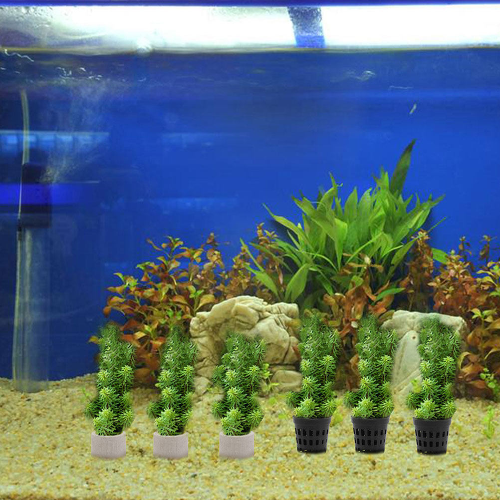 1Set Aquarium Water Plant Fixi - Aquarium Planted Tank Setup reseña y precio