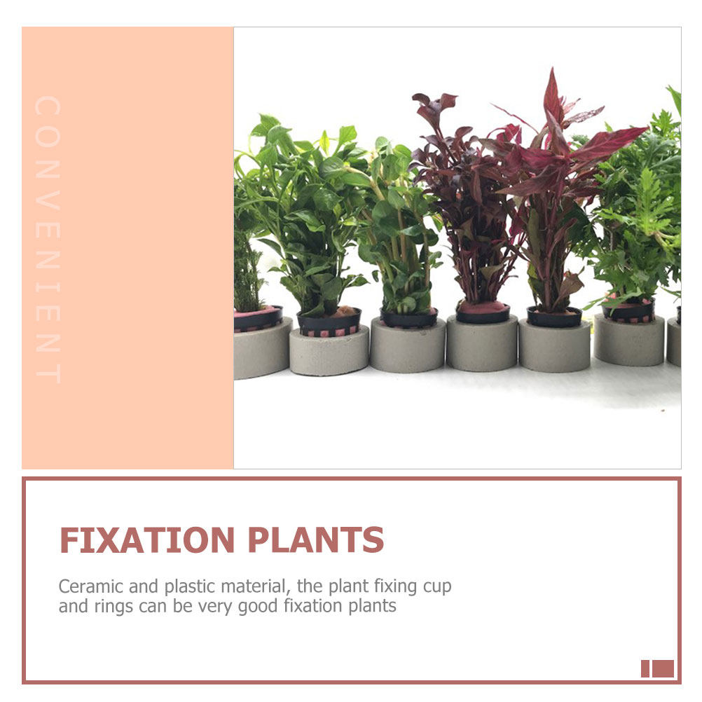 1Set Aquarium Water Plant Fixi - Aquarium Planted Tank Setup reseña y precio