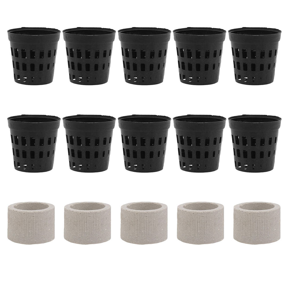 1Set Aquarium Water Plant Fixi - Aquarium Planted Tank Setup reseña y precio