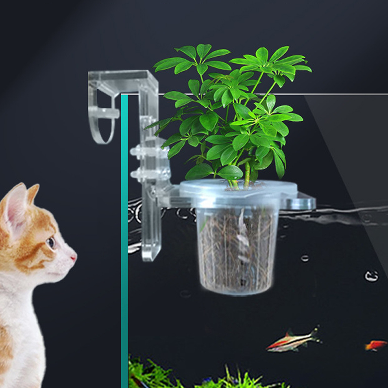 Fish Tank Planting Cups Hydrop - Aquarium Plant Growth reseña y precio