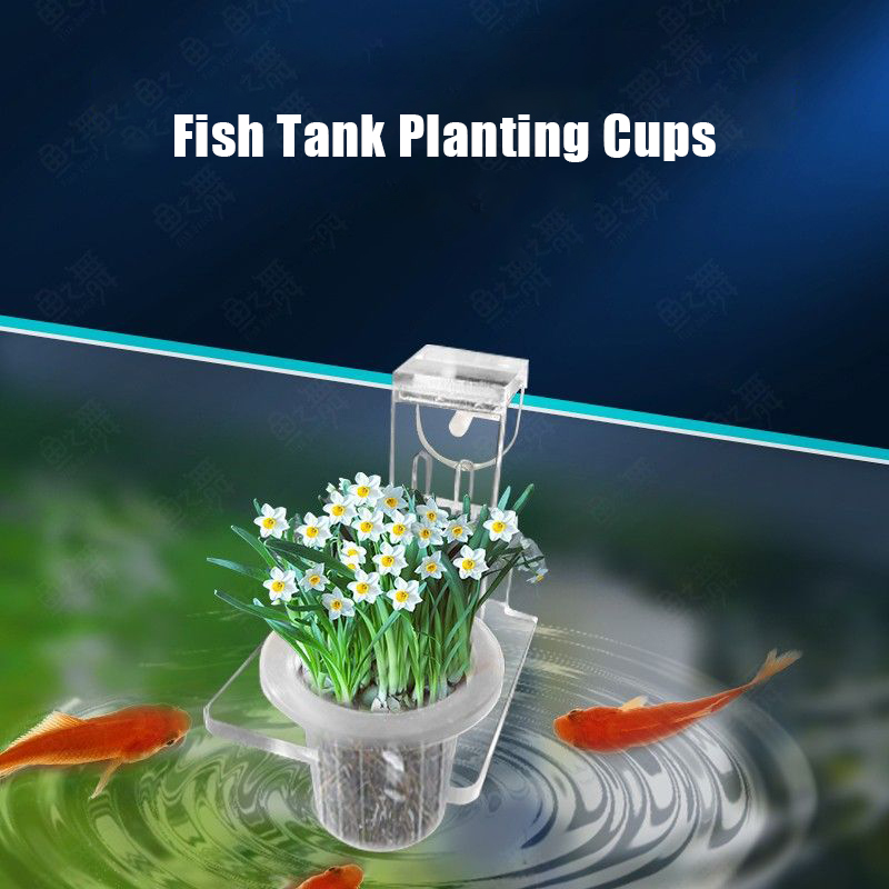 Fish Tank Planting Cups Hydrop - Aquarium Plant Growth reseña y precio