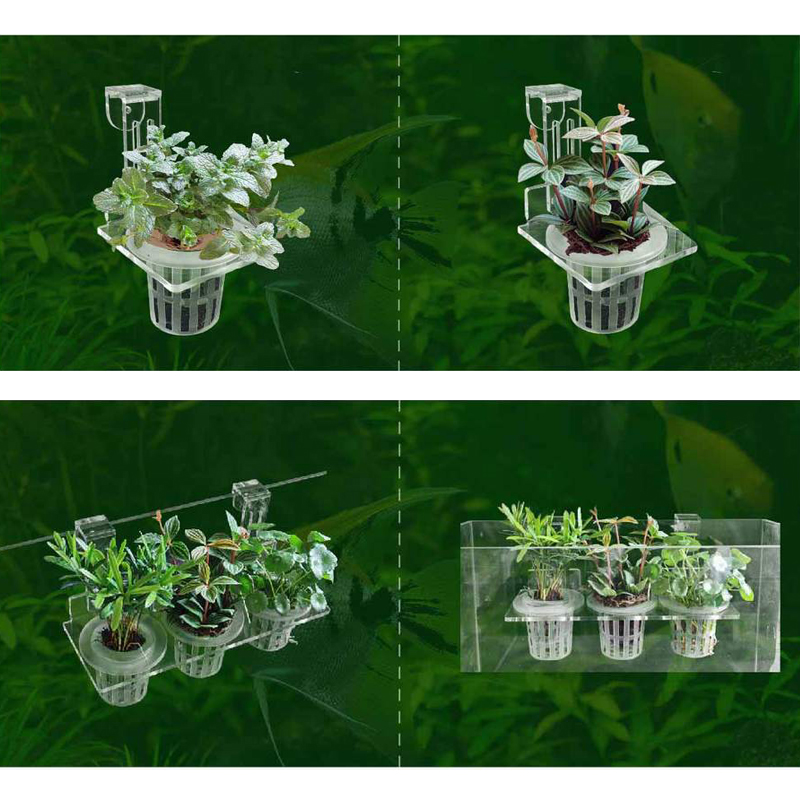 Fish Tank Planting Cups Hydrop - Aquarium Plant Growth reseña y precio