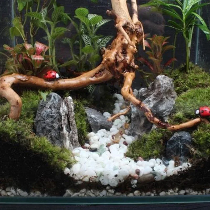 Natural Tree Trunk Driftwood A - Aquarium Planted Substrate reseña y precio