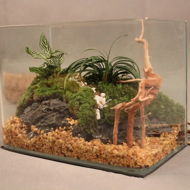 Natural Tree Trunk Driftwood A - Aquarium Planted Substrate reseña y precio