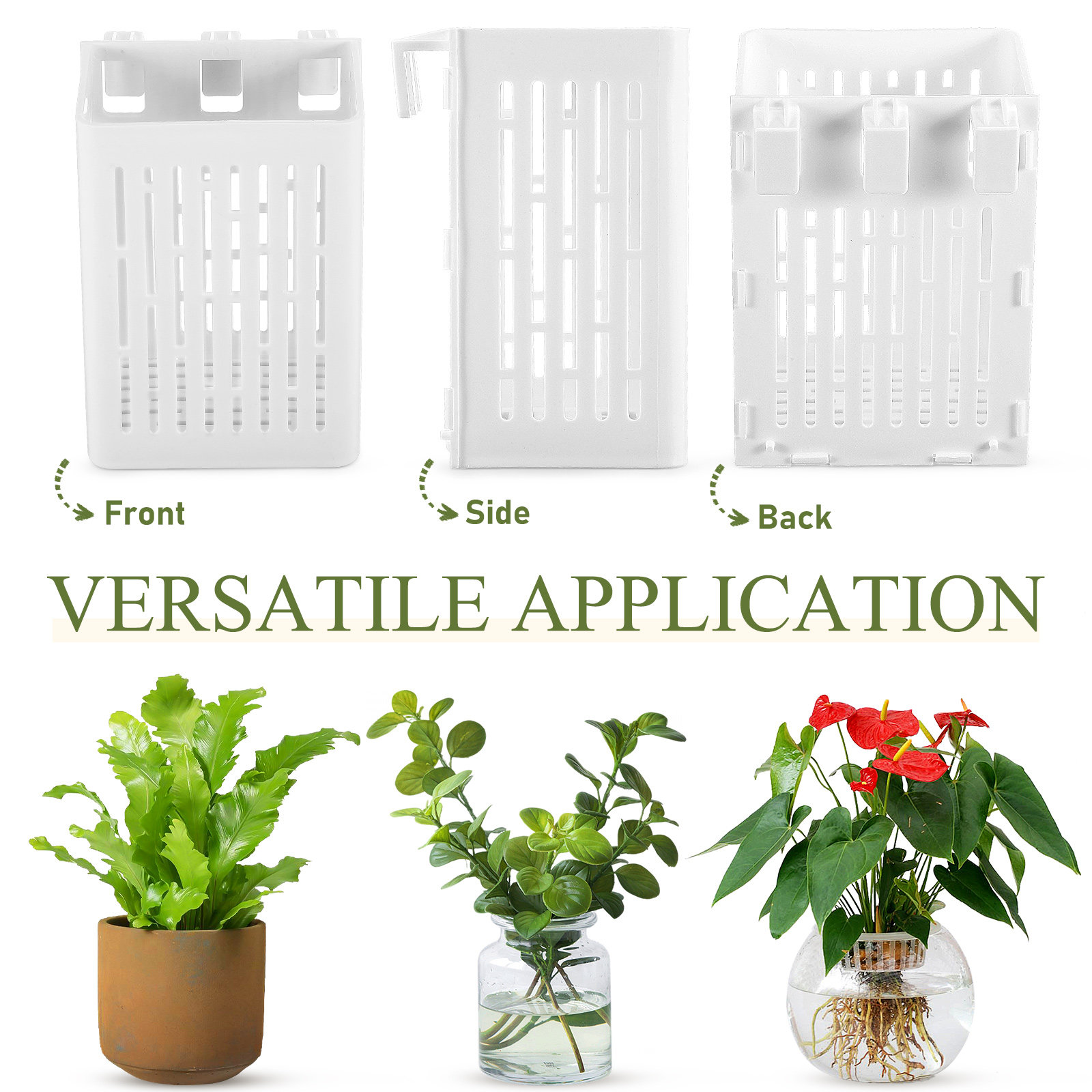 2Pcs Aquatic Plant Holder Hang - Aquarium Planted Tank Setup reseña y precio