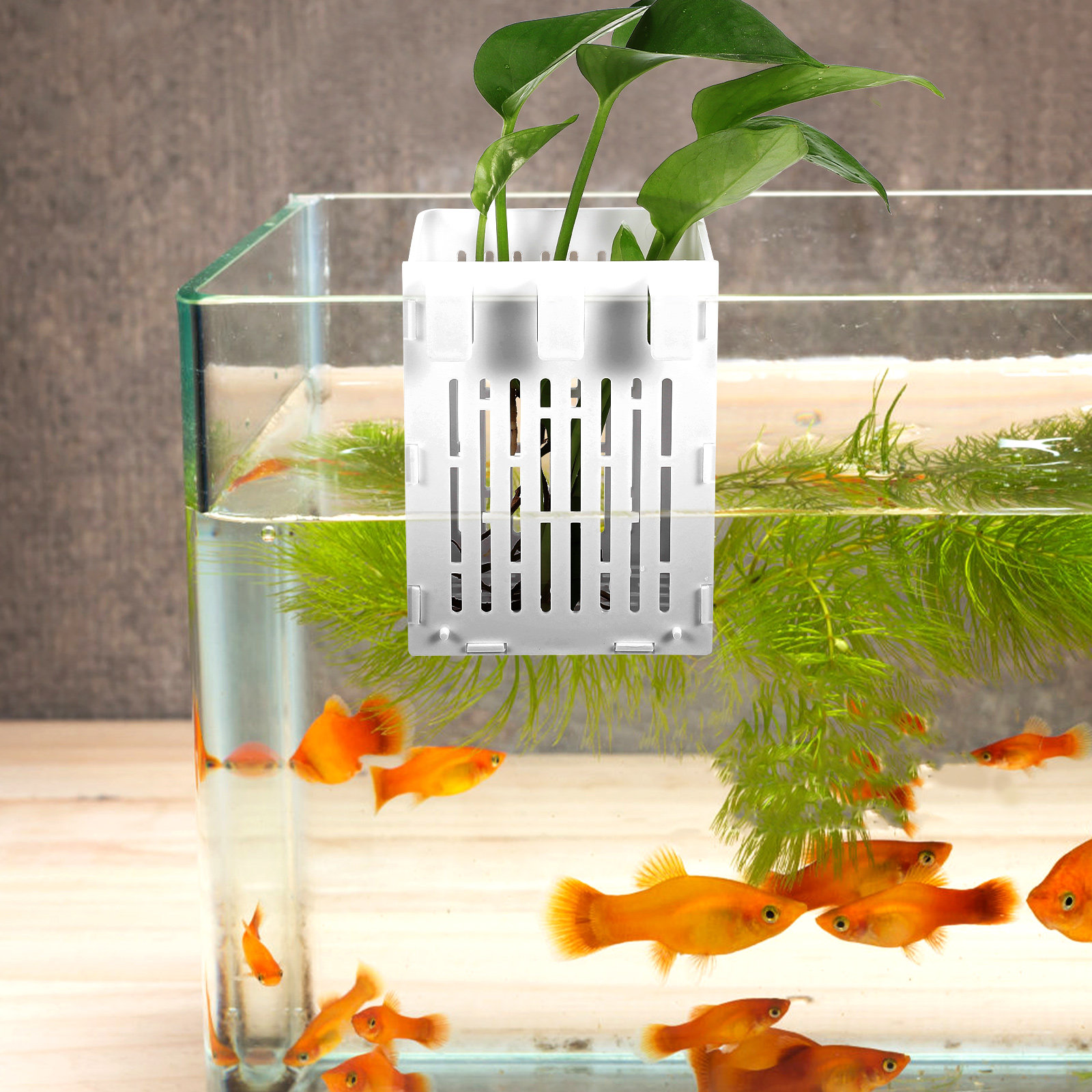 2Pcs Aquatic Plant Holder Hang - Aquarium Planted Tank Setup reseña y precio