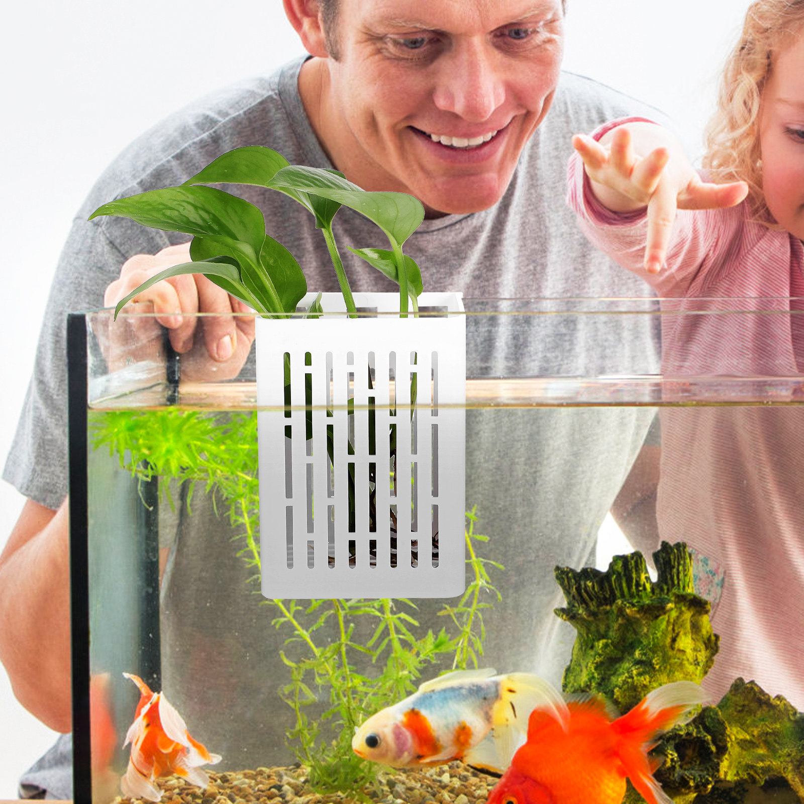 2Pcs Aquatic Plant Holder Hang - Aquarium Planted Tank Setup reseña y precio