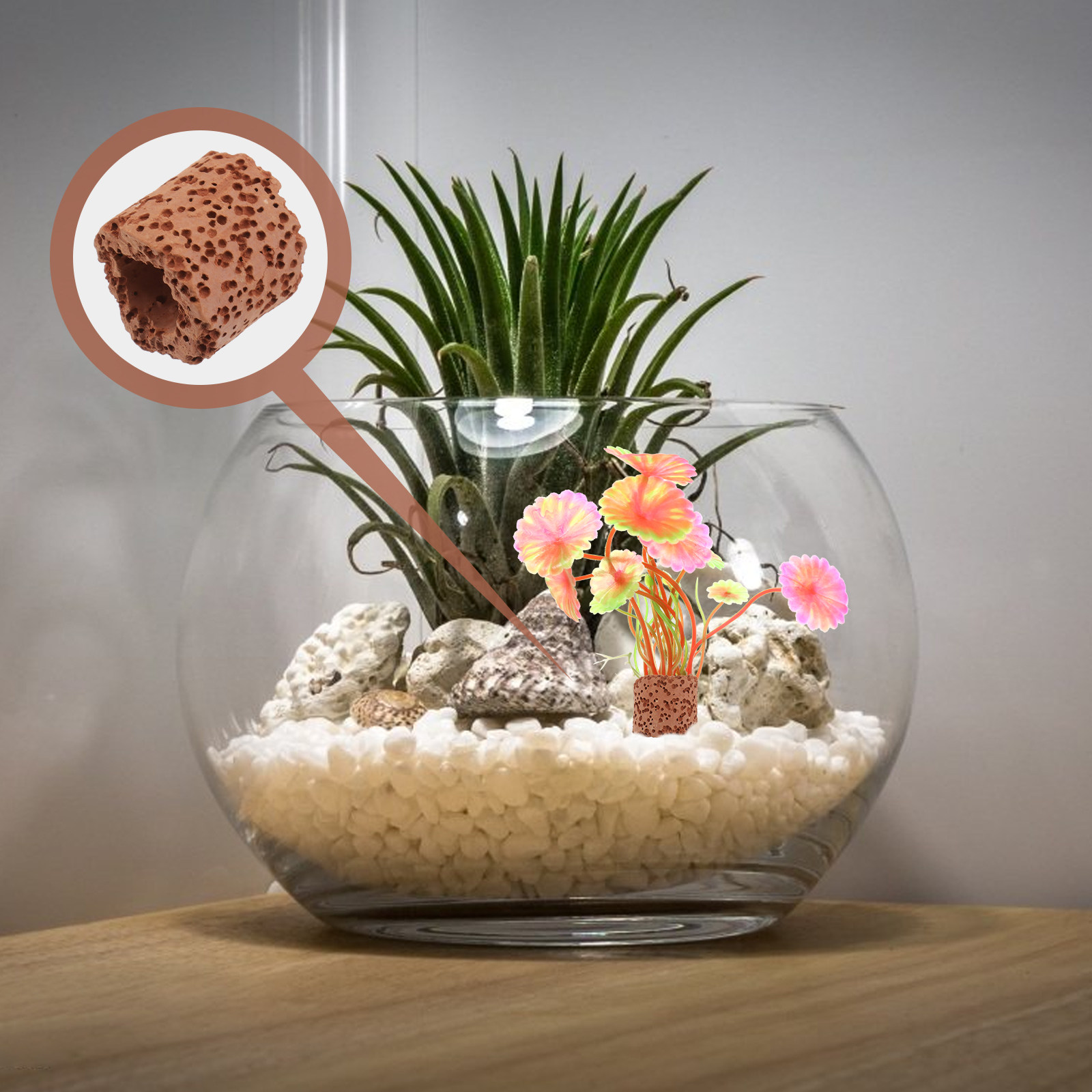 10Pcs Creative Water Plant Fix - Aquarium Planted Tank Setup reseña y precio