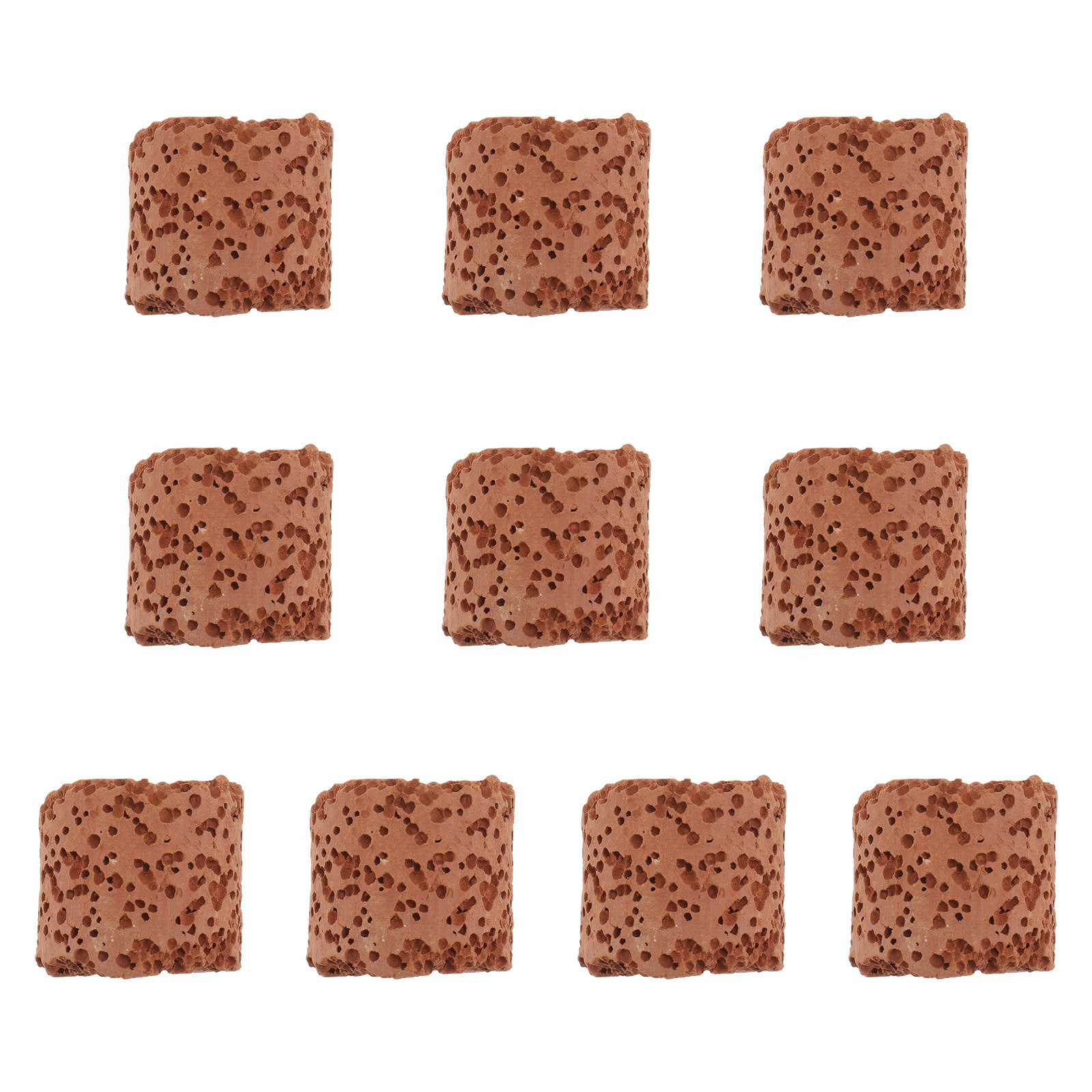 10Pcs Creative Water Plant Fix - Aquarium Planted Tank Setup reseña y precio