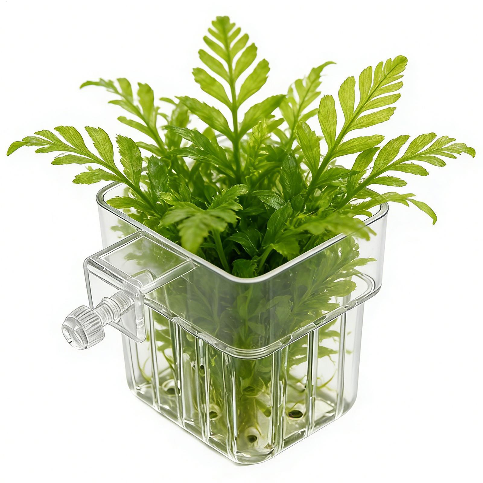 1pcs Plant Holder For Fish Tan - Aquarium Plant Growth reseña y precio