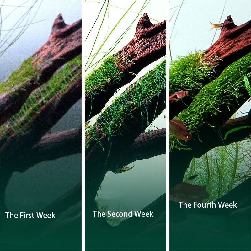 AQUA NEST 200m/roll Naturally  - Aquarium Planted Substrate reseña y precio