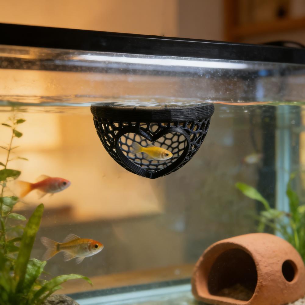 Heart-Shaped Aquarium Hideaway - Planted Aquarium Without Fish reseña y precio