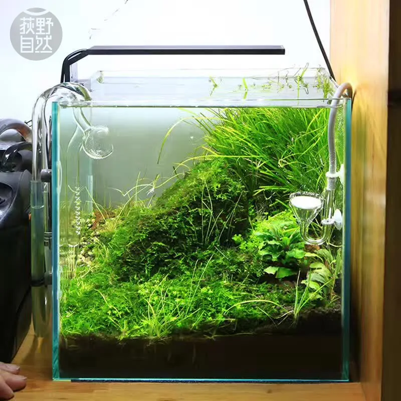 Chihiros C Series ADA Style Pl - Aquarium Plant Growth reseña y precio