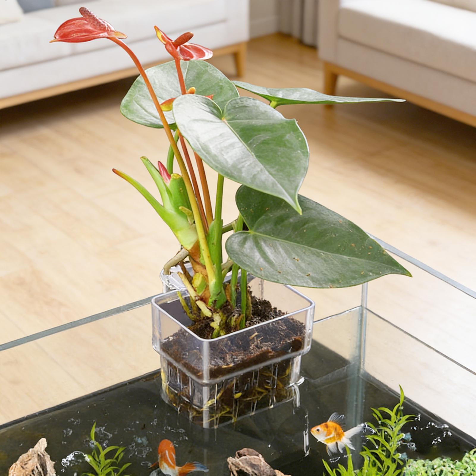Aquarium Plant Basket Transpar - Aquarium Plant Growth reseña y precio