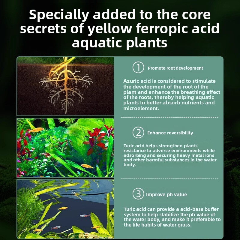 Aquarium Plant Fertilizer - Co - Planted Aquarium Carpet Plant reseña y precio