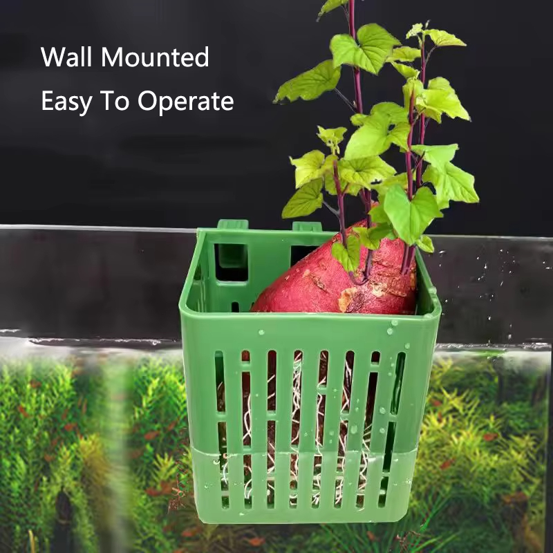 Fish Tank Water Grass Cup Aqua - Aquarium Plant Growth reseña y precio