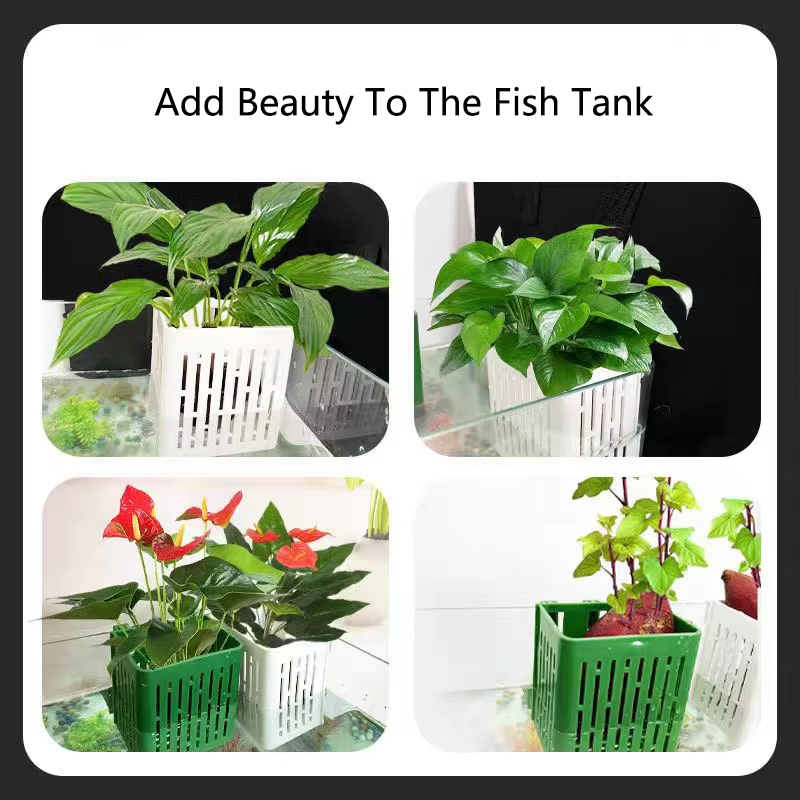 Fish Tank Water Grass Cup Aqua - Aquarium Plant Growth reseña y precio