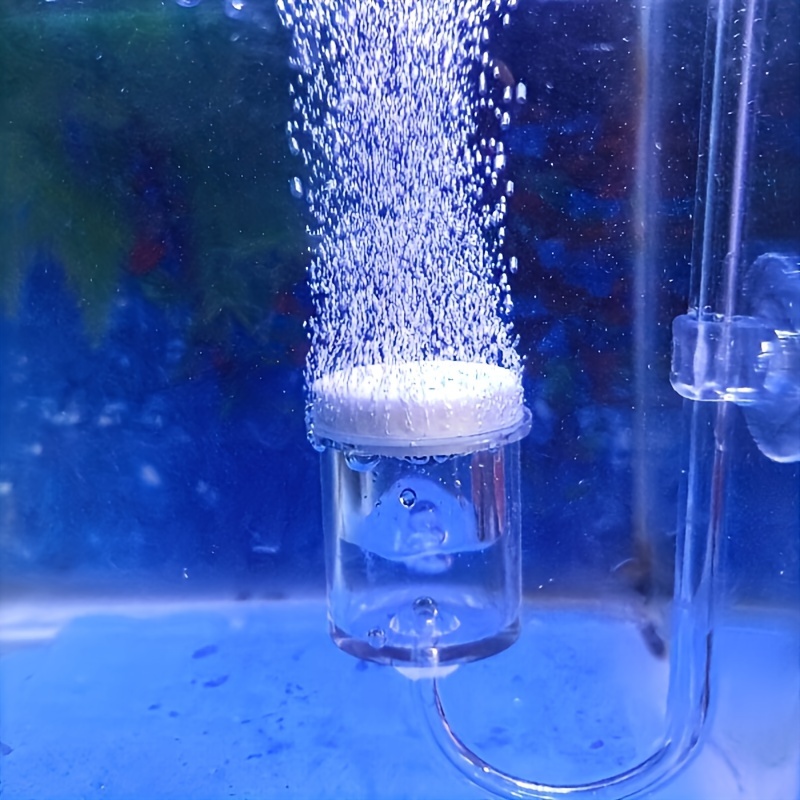Aquarium Glass CO2 Atomizer Di - Planted Aquarium Co2 reseña y precio
