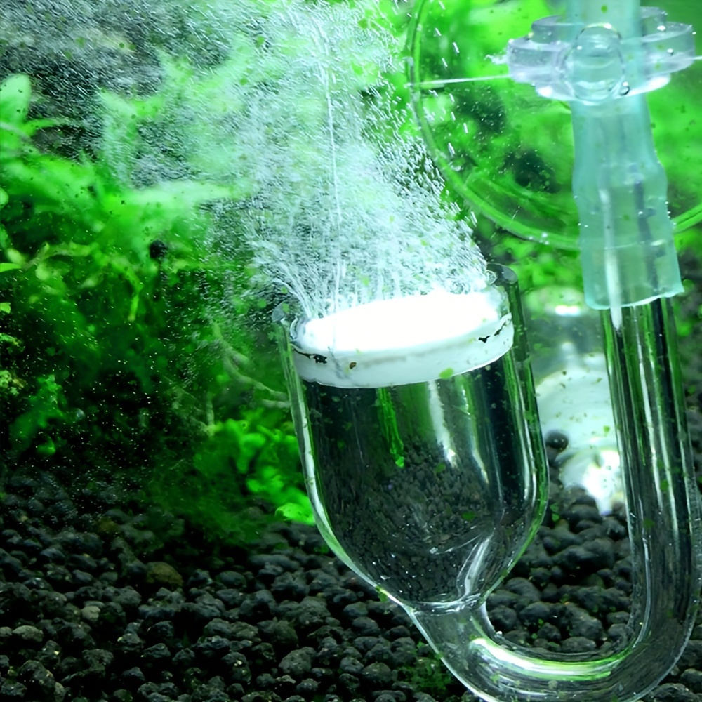 Aquarium Glass CO2 Atomizer Di - Planted Aquarium Co2 reseña y precio