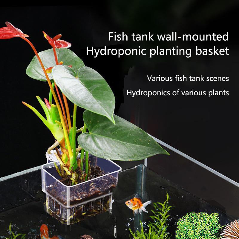 Aquarium Hydroponic Planting C - Aquarium Planted Tank Setup reseña y precio