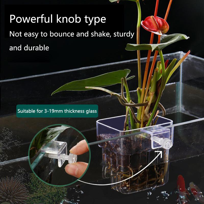 Aquarium Hydroponic Planting C - Aquarium Planted Tank Setup reseña y precio