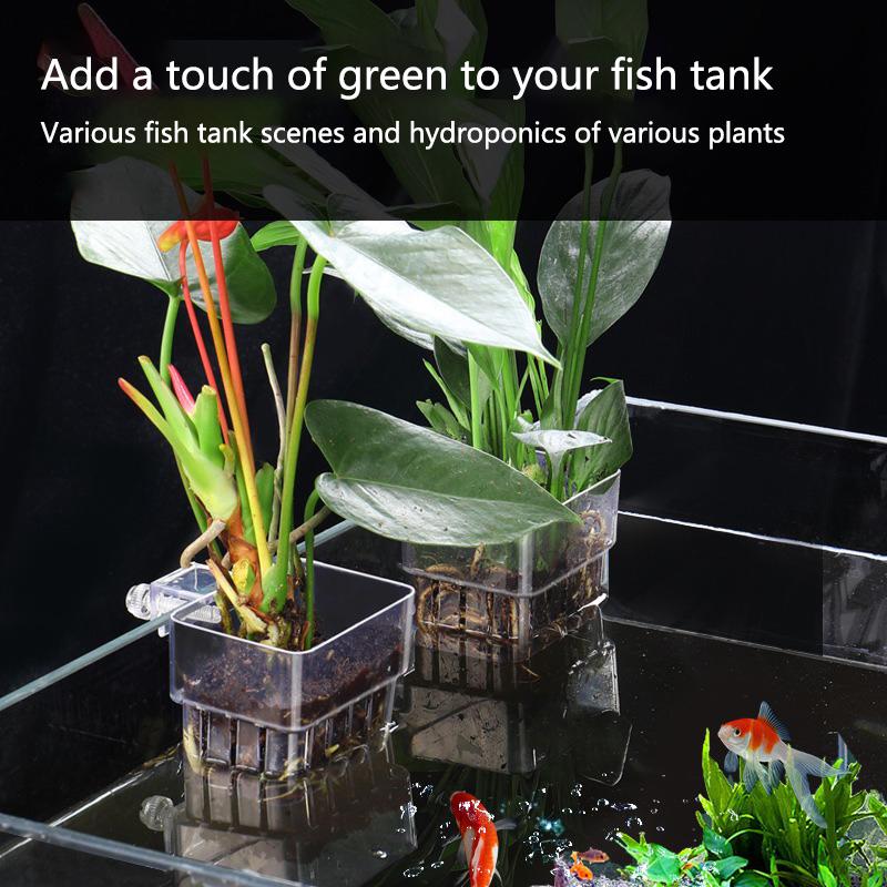 Aquarium Hydroponic Planting C - Aquarium Planted Tank Setup reseña y precio