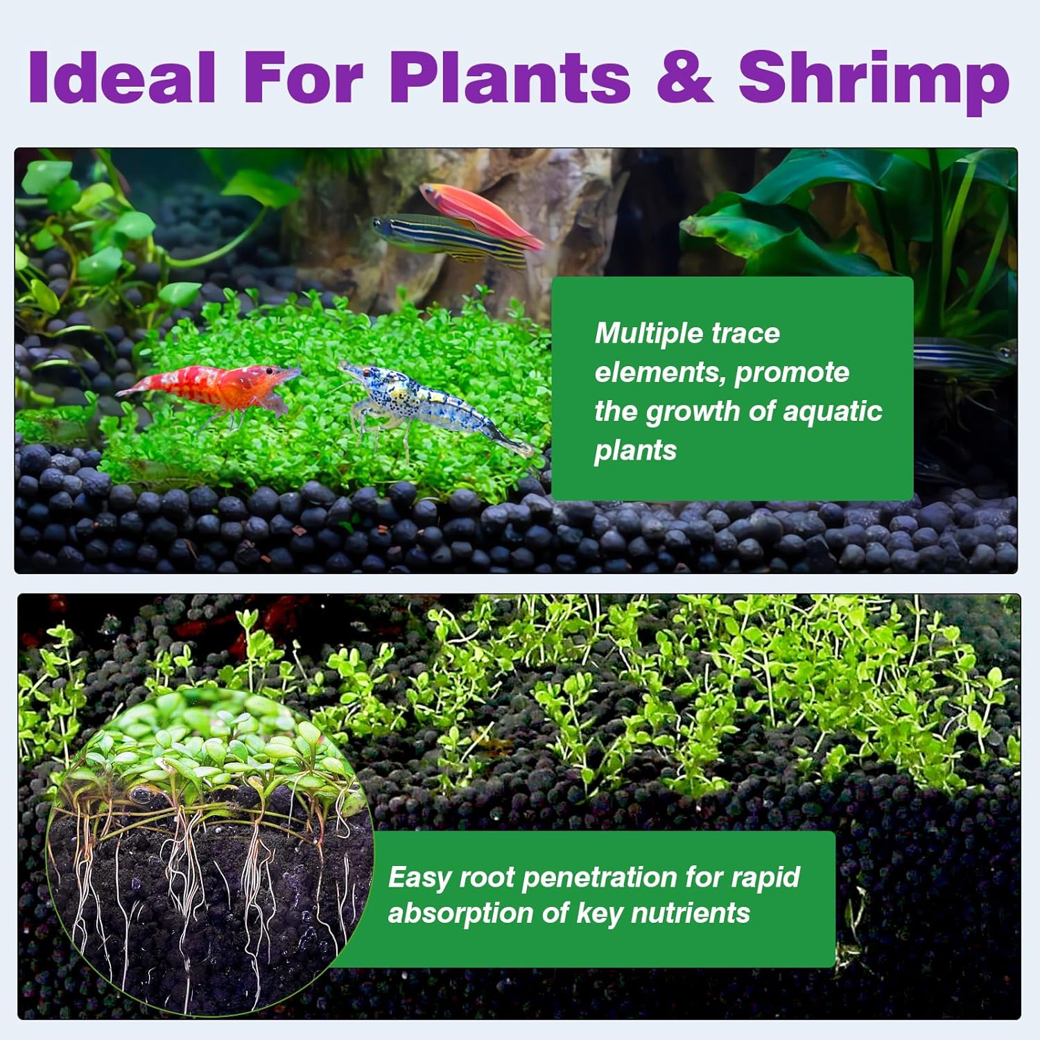 Aquarium Soil Water Grass Mud, - Aquarium Plant Images reseña y precio