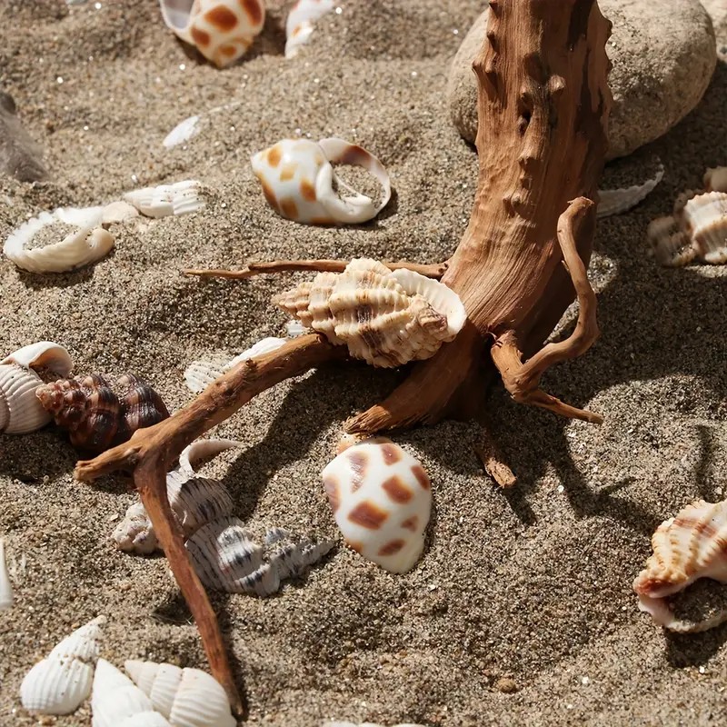 7-26CM 4 Sizes Driftwood Cucko - Aquarium Planted Substrate reseña y precio
