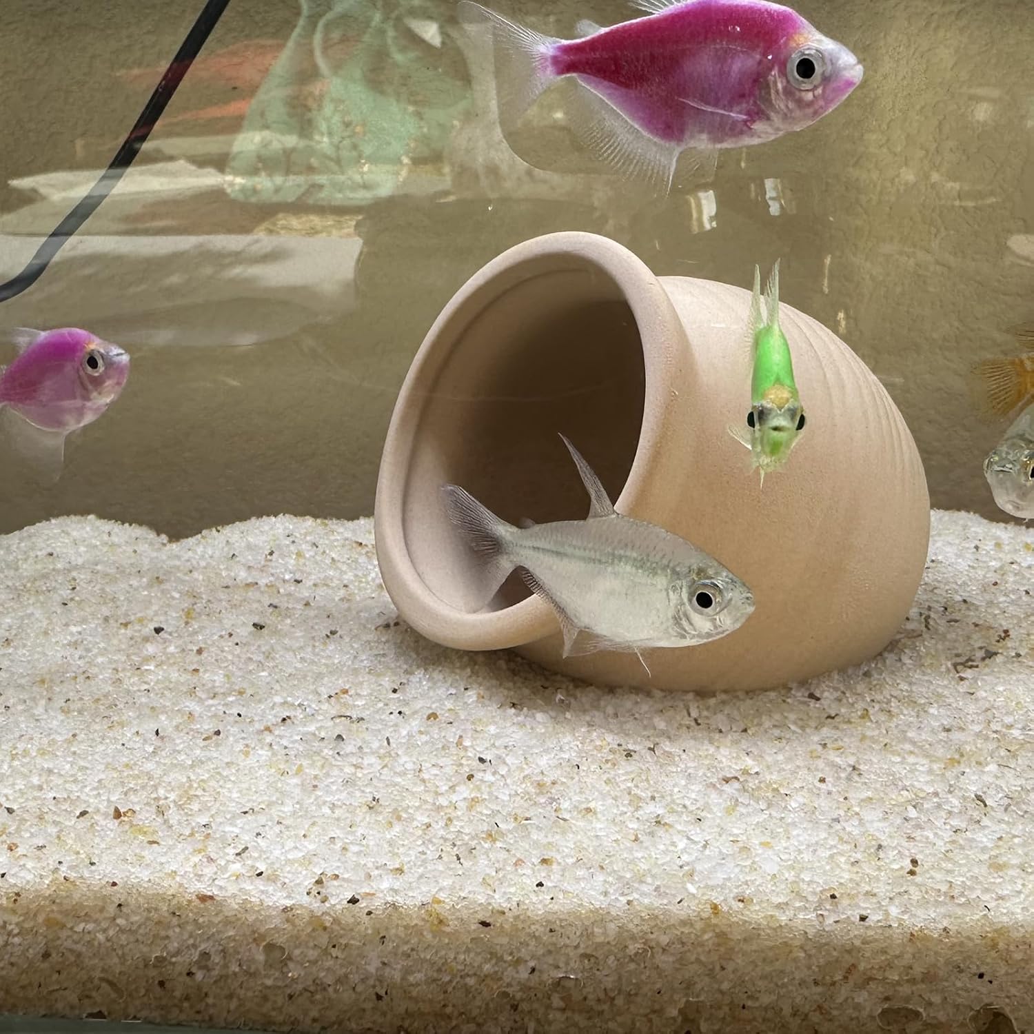 2lbs Beige Fish Tank Sand, Aqu - Aquarium Plant Images reseña y precio