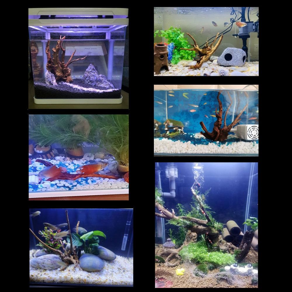 Natural Tree Trunk Aquarium De - Aquarium Planted Substrate reseña y precio