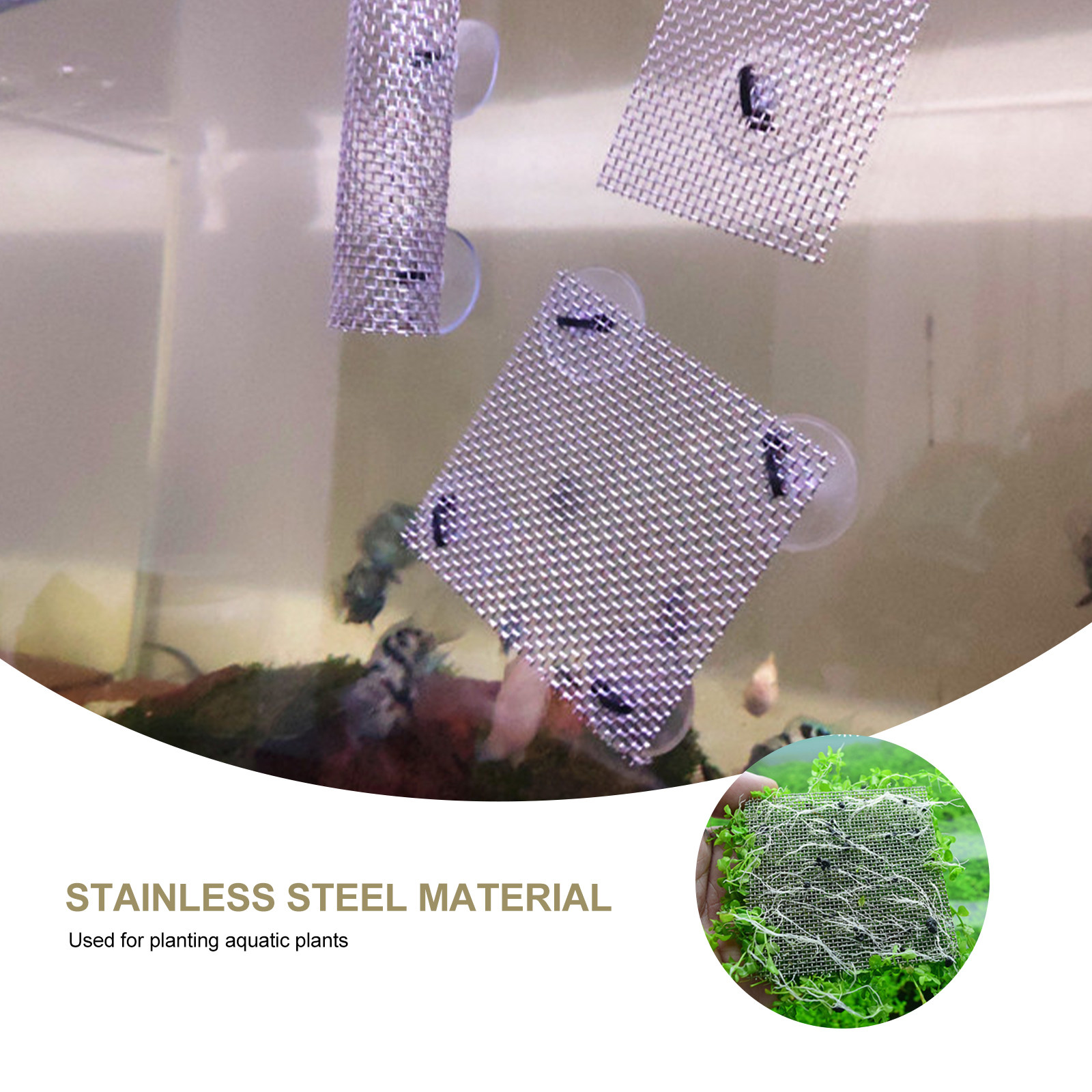 15Pcs Stainless Steel Moss Wal - Planted Aquarium Carpet Plant reseña y precio