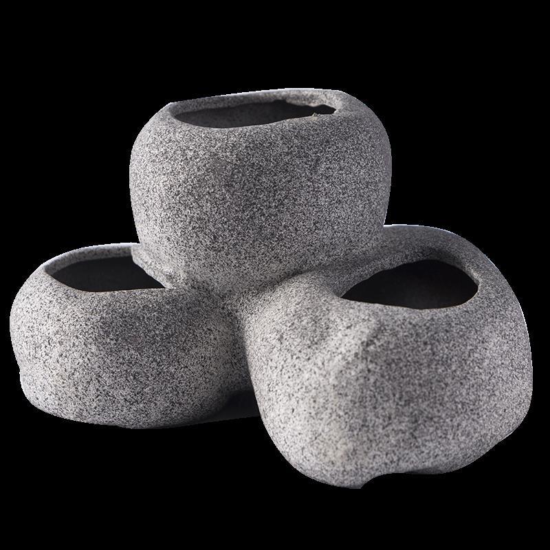 Fish Shrimp Incubation Shelter - Aquarium Plant Growth reseña y precio
