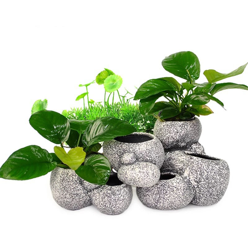 Fish Shrimp Incubation Shelter - Aquarium Plant Growth reseña y precio