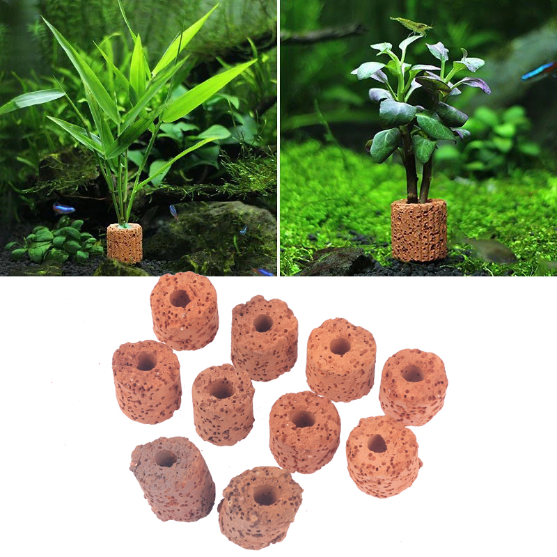 10Pcs Mini Aquatic Plant Ring  - Aquarium Planted Tank Setup reseña y precio