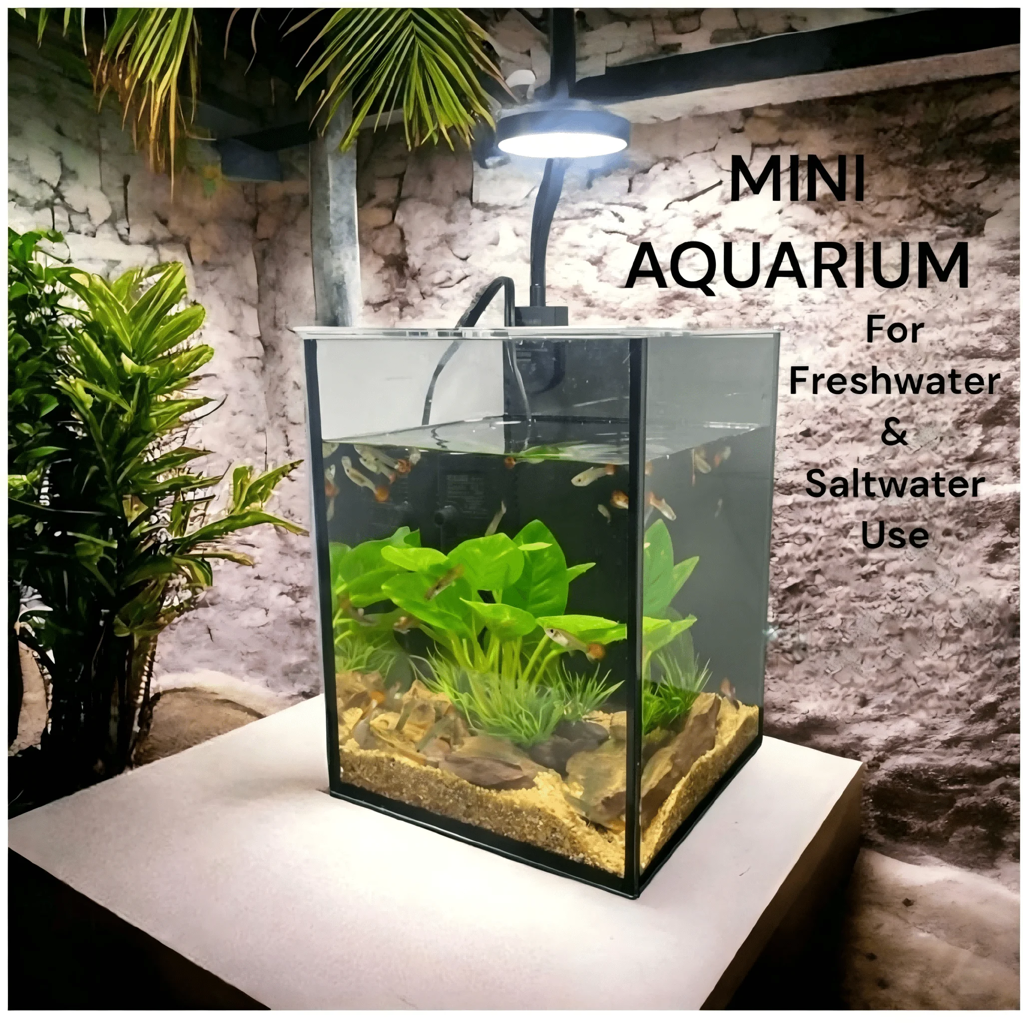 KEEHOME Mini Aquarium Set Fish - Planted Aquarium Without Fish reseña y precio
