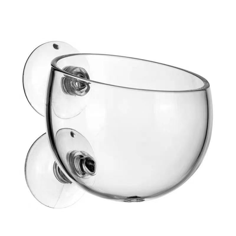 Glass Aquarium Decoration Hang - Aquarium Plant Growth reseña y precio