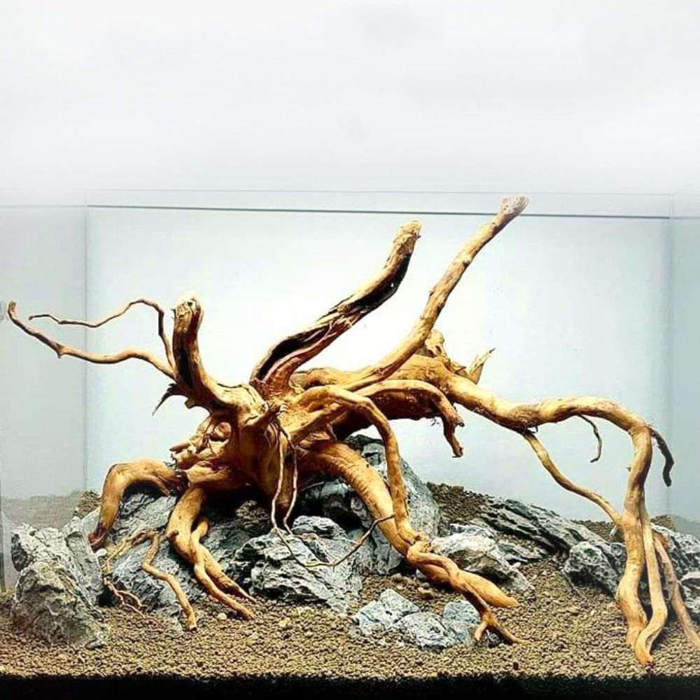 20-25CM Large Aquarium Driftwo - Aquarium Planted Substrate reseña y precio