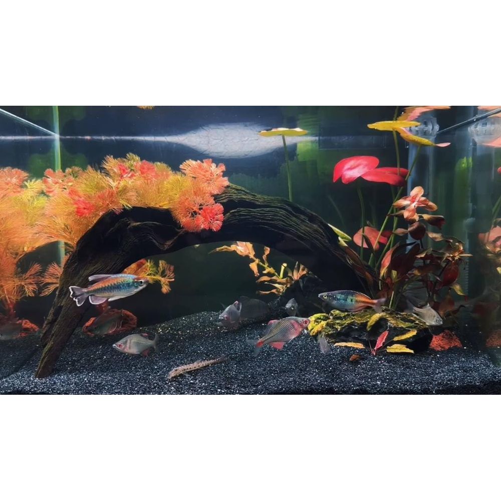 YISZM Aquarium Sand, 20lbs Bla - Aquarium Planted Substrate reseña y precio