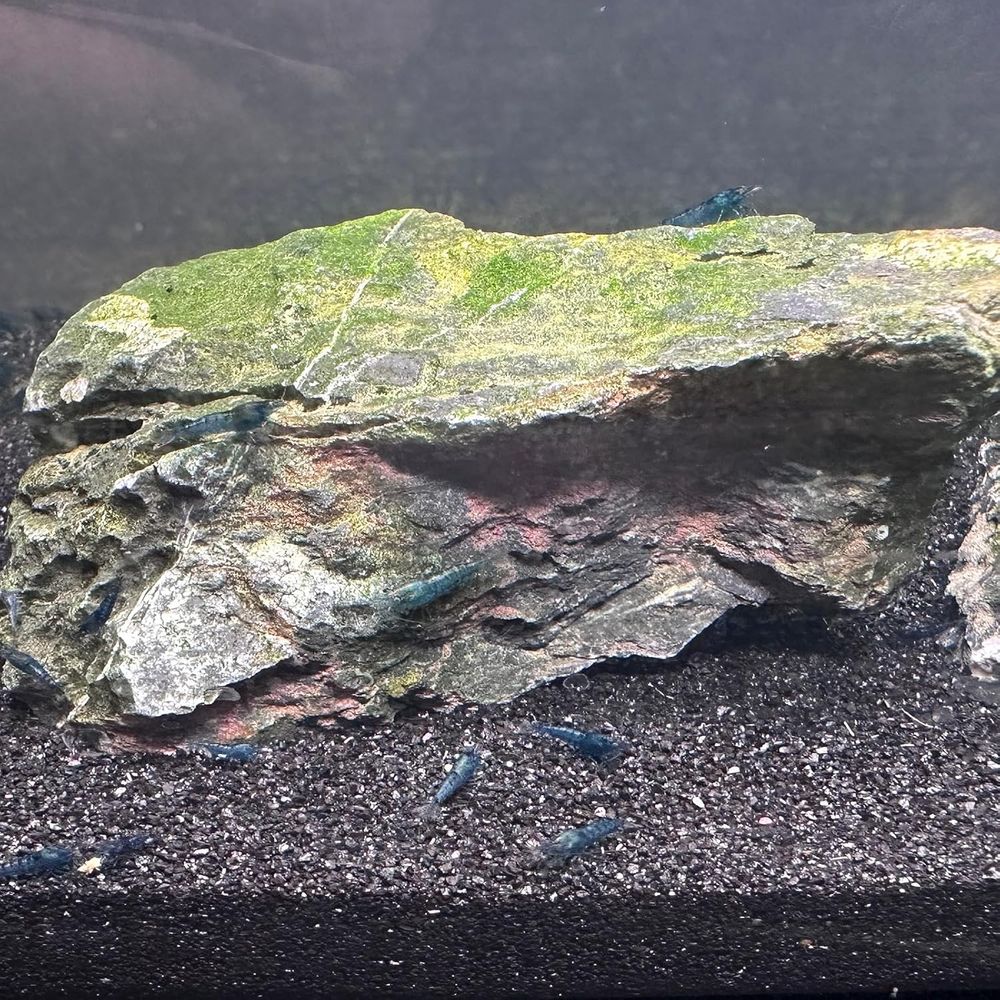 YISZM Aquarium Sand, 20lbs Bla - Aquarium Planted Substrate reseña y precio