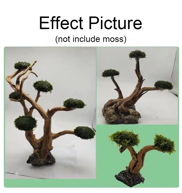 Fish Tank Plant Moss Tree Deco - Planted Aquarium Without Fish reseña y precio