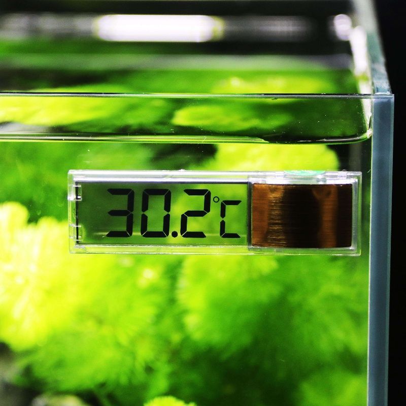 1pc Aquarium Thermometer 3D Di - Planted Aquarium Temperature reseña y precio