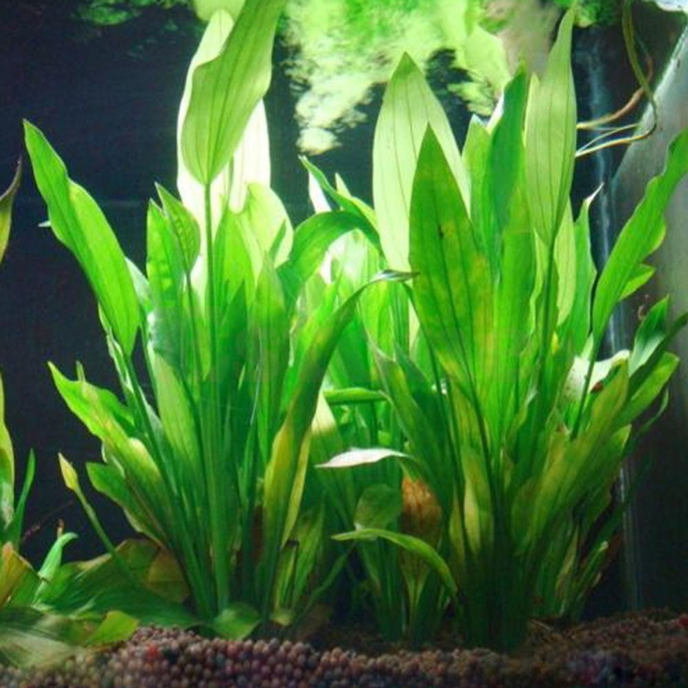 15CM/10CM Underwater Artificia - Aquarium Planted Substrate reseña y precio